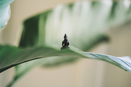 Holistic Anxiety Management: Lifestyle, Mindfulness, and Adaïr Jewelry